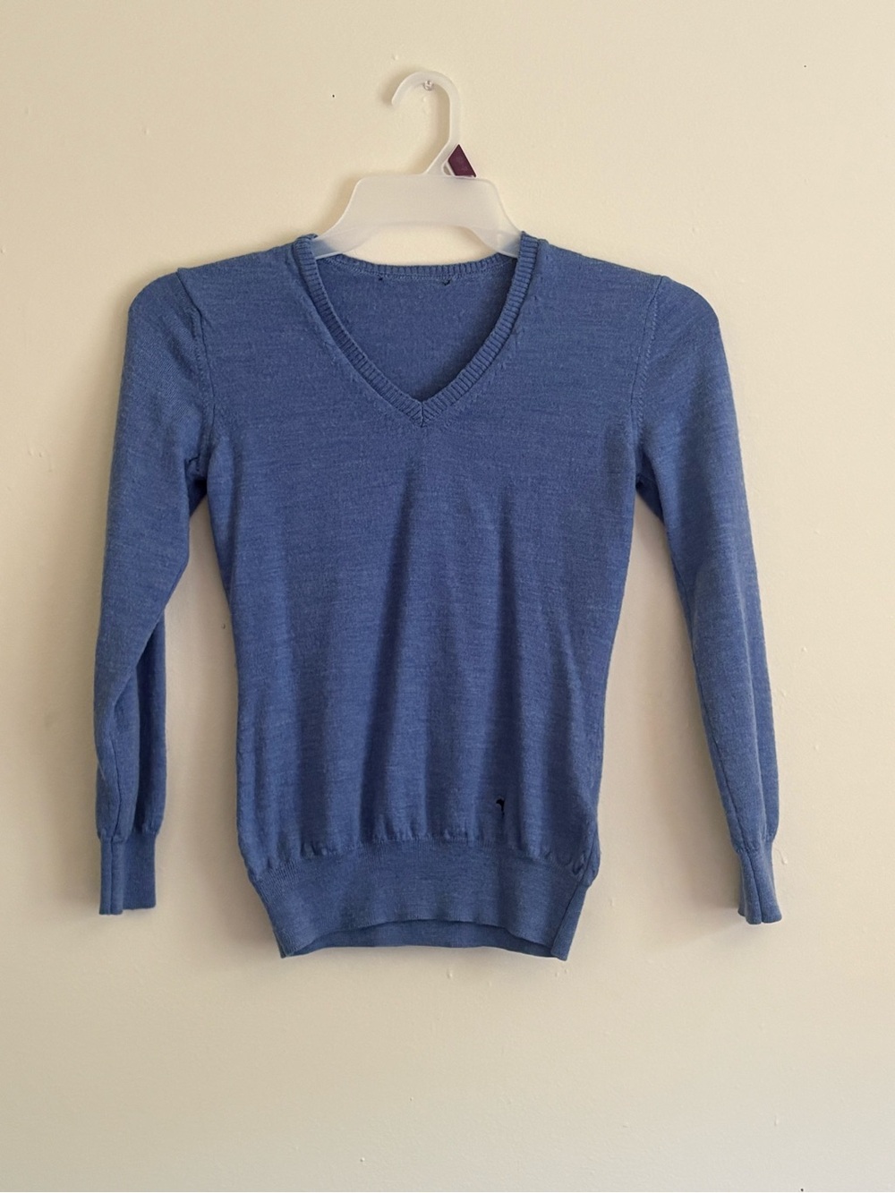 Women's V-Neck Blue Sweater